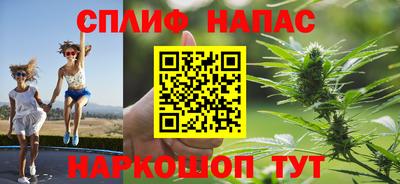 сатива Ирбит