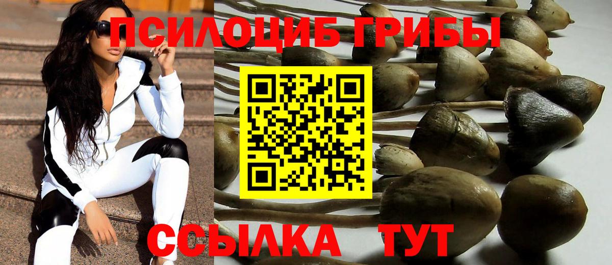 Псилоцибиновые грибы GOLDEN TEACHER Луга