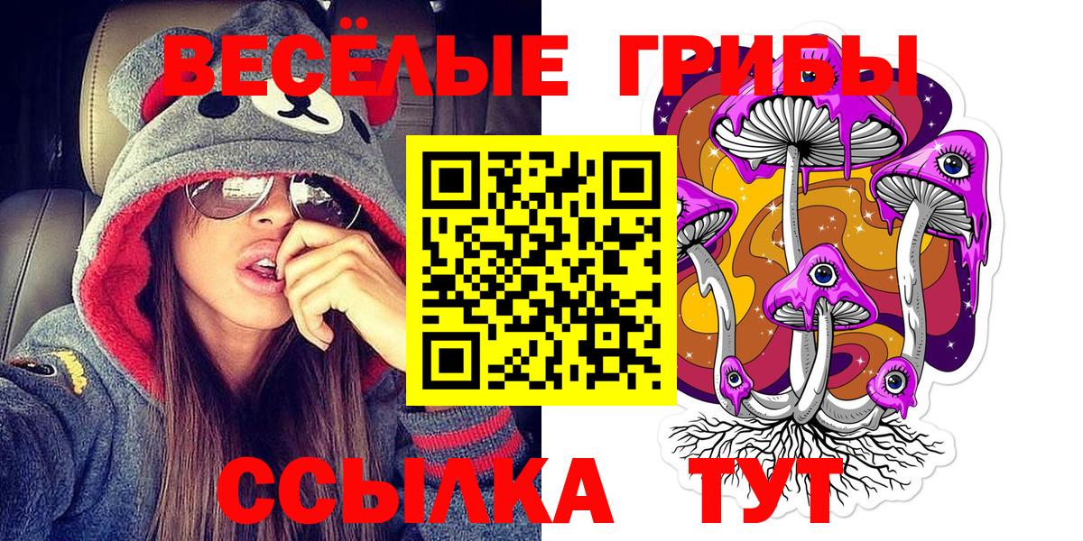 Галлюциногенные грибы Magic Shrooms  купить наркотики сайты  Псилоцибиновые грибы Magic Shrooms  Луга  Вход с VPN 